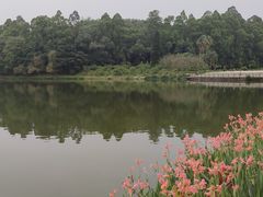 -南国桃园旅游度假区