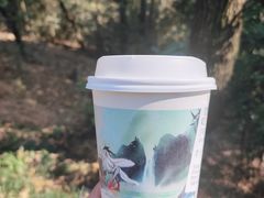 -茶颜悦色(登高路上店)