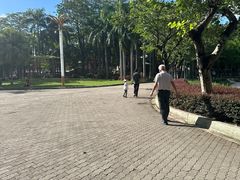 -金砂公园