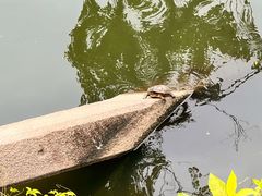 -潮州西湖