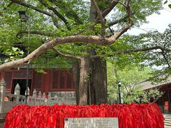 -红螺寺