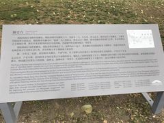 -東舍食唐精品陕菜馆