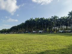 -南宁花花大世界景区