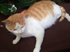 iphone_upload_pic-飘香酒馆·私房菜