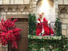 -济州岛泰迪熊博物馆