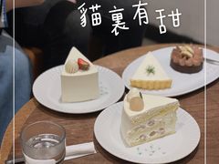 -猫里有甜