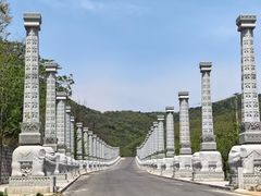 -金龙寺国家森林公园
