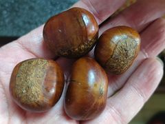 -秋栗香(地安门店)