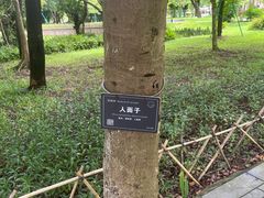 -东莞植物园