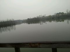 -白鹭湾湿地公园