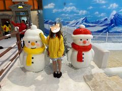-世界之窗阿尔卑斯冰雪世界