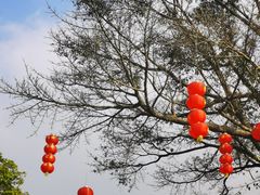 -云溪植物园
