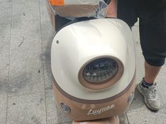 -绿源电动车(普陀专卖店)