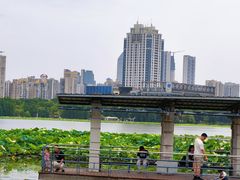 -月湖风景区