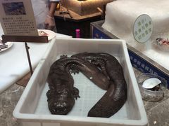 -丰卓会海鲜自助(中润大道店)
