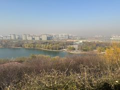 -河北省园博园