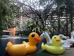 -三亚湾海居铂尔曼度假酒店