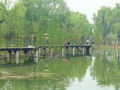 -昆山城市生态森林公园