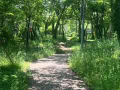 -虞山城墙