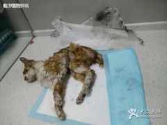 盛京一禾-盛京一禾