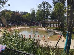 -武汉动物园