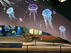 -深海中餐厅(国家海洋博物馆店)