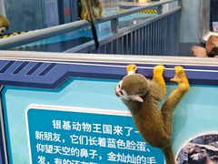 -郑州银基国际旅游度假区