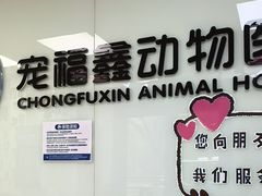 -宠福鑫动物医院(城北分院)