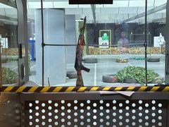 -中安射击运动俱乐部