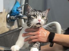 -PETKIT小佩宠物(古北店)