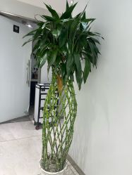 -京世沙龙