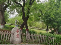 -黄帝陵