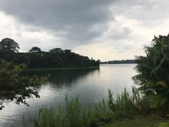 -河川生态园