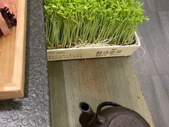 -湊湊火锅·茶憩(打浦桥日月光店)