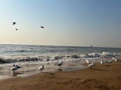 -老虎石海上公园