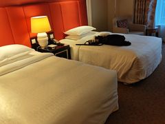 -澳门喜来登大酒店