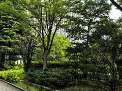 -东京国立博物馆