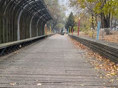 -长白岛森林公园