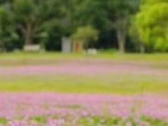 -福建鲤鱼洲酒店