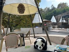 -金鱼妈妈 山野·食趣(荫山街店)