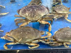 -七鲜超市(万向城店)