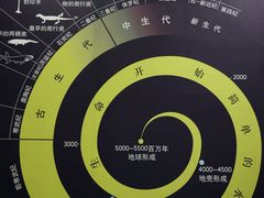-中国西峡恐龙遗迹园
