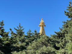 -护国法轮寺