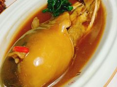 肆月河豚-肆月河豚·新淮扬(金融街店)