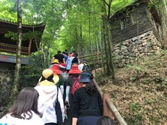 -藏龙百瀑风景区