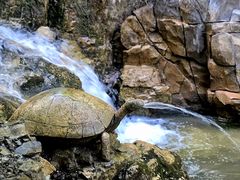 -野三坡清泉山风景区