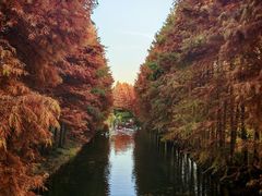 -大鸿运酒店·苏州菜·松鼠桂鱼(观前街店)