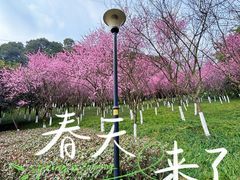 -龙头寺公园