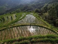 -龙脊梯田