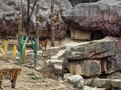 -无锡动物园·太湖欢乐园